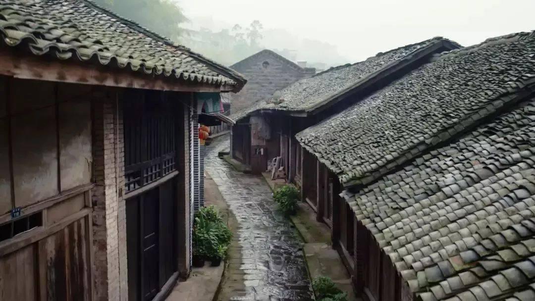 热带天堂找不同